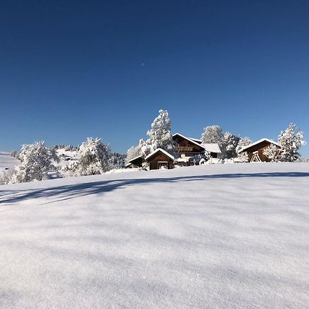 Ferienwohnung Aigisblick Mit Pool Und Sauna, Direkt Am Skihang Missen-Wilhams Eksteriør billede